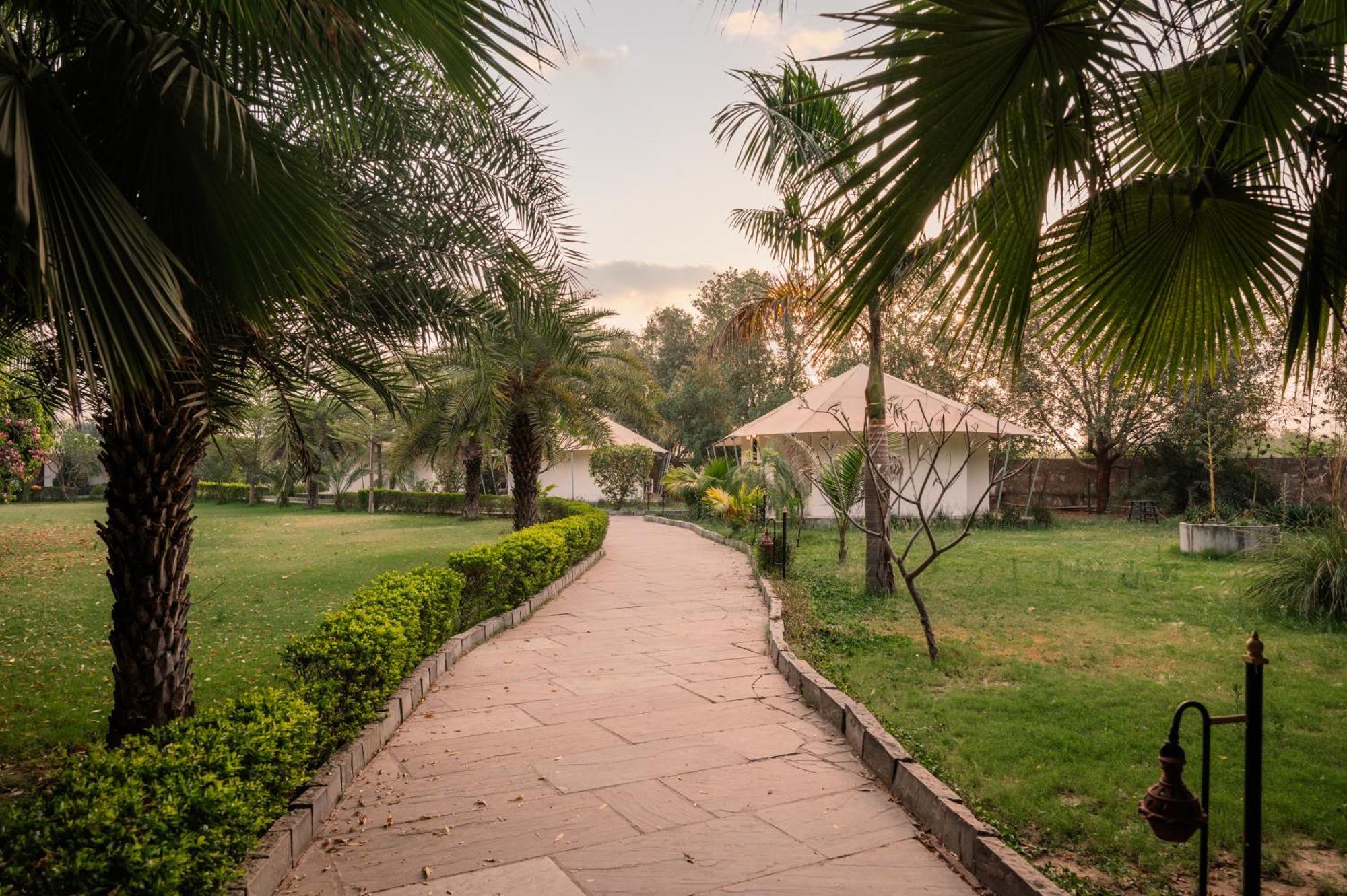 Clarks Safari Ranthambore Khilchīpur Esterno foto